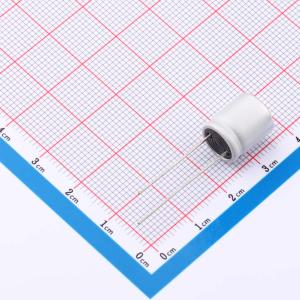 RYHS16V470UF10*12商品缩略图