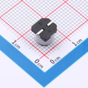 RYRVT6.3V100UF6*5商品缩略图