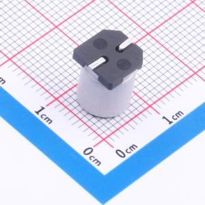 GVE2A220M0810商品缩略图