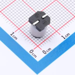 RYRVT6.3V330UF6*7商品缩略图