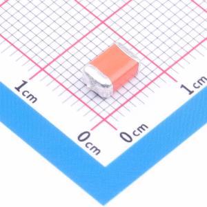 595D107X9016D2T商品缩略图