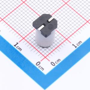 EFVL035ADA101M06B0商品缩略图