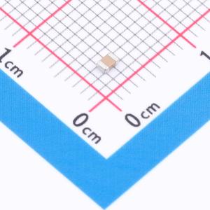 CV0805X7R1KV102KN商品缩略图