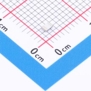 PT0805FR-7W0R24L商品缩略图