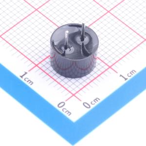 HC9055-5.5Ω商品缩略图