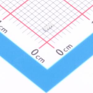 RC-MT08W100JT商品缩略图