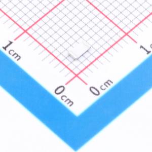 RL1206FR-7W0R11L商品缩略图