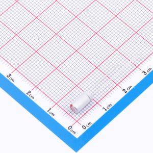 RS101M160C070R1Z00ZZ商品缩略图