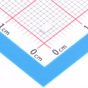 1RC1206F1003商品缩略图