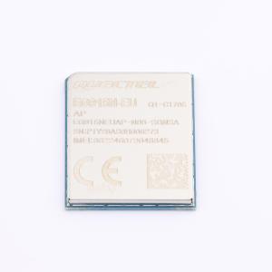 EG915NEUAP-N06-SGNSA商品缩略图