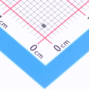 RSAC16CMT2R商品缩略图