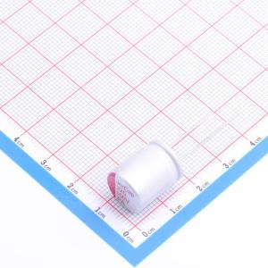 PA100V220M12X17商品缩略图