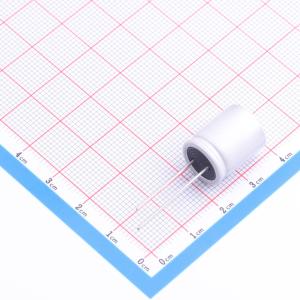 PA100V220M12X17商品缩略图