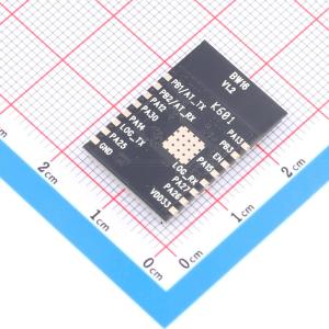 BW16-IPEX(3174)商品缩略图
