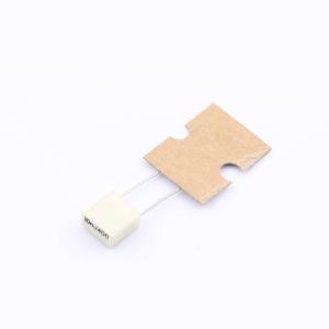 R82MC2100DQ50J商品缩略图