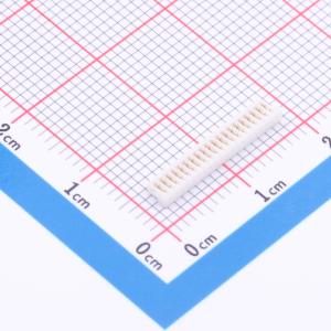 BX-0.8-20PJK-XM3商品缩略图