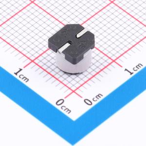 ERVT1H100M0605B1商品缩略图