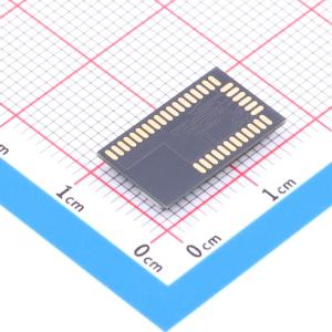 BGM113A256V21商品缩略图
