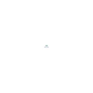 TNPW0402300RBEED商品缩略图