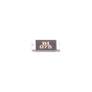 BSMD2512-075-60V商品缩略图