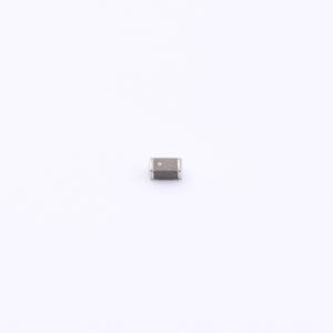 GPL1608EKS1R0MT商品缩略图