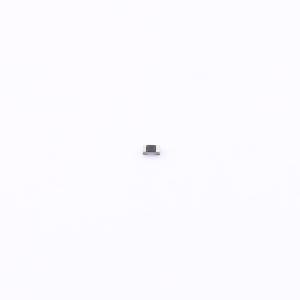 CRGP0402F10R商品缩略图