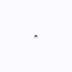 RCS04023K30FKED商品缩略图