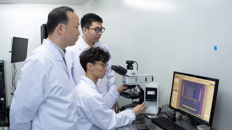 复旦大学研究团队