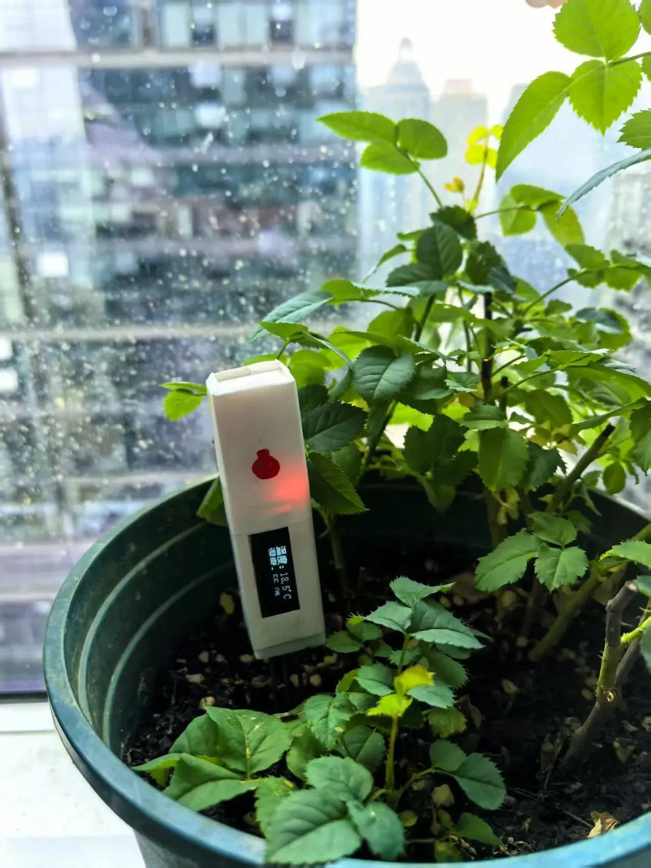 土壤温湿度监测笔