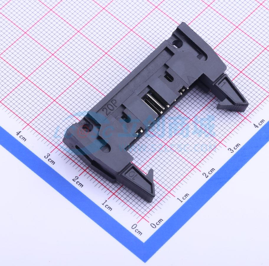 2.54-2*10P弯牛角实物图