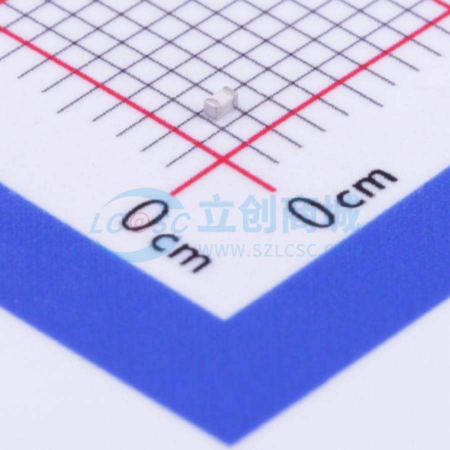 点击查看大图 SDCL1005C30NJTDF实物图