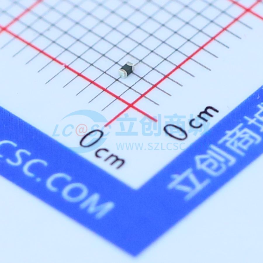 点击查看大图 SDV1005S5R5C010YPTF实物图