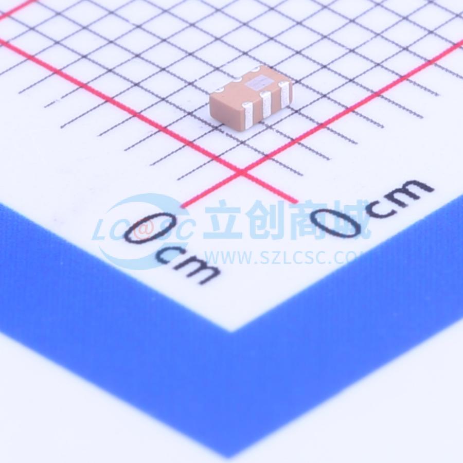 2450BM15B0003E实物图