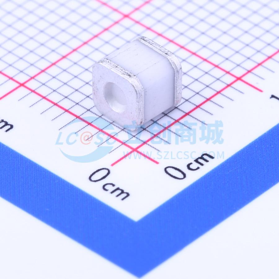 点击查看大图 SMD4042-090E实物图