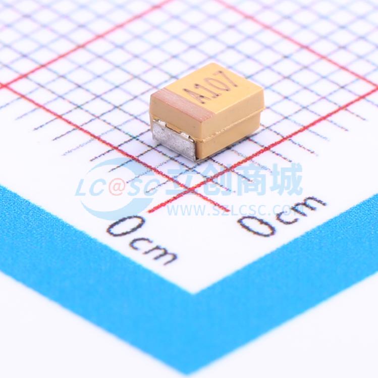 TC212B107M010Y实物图