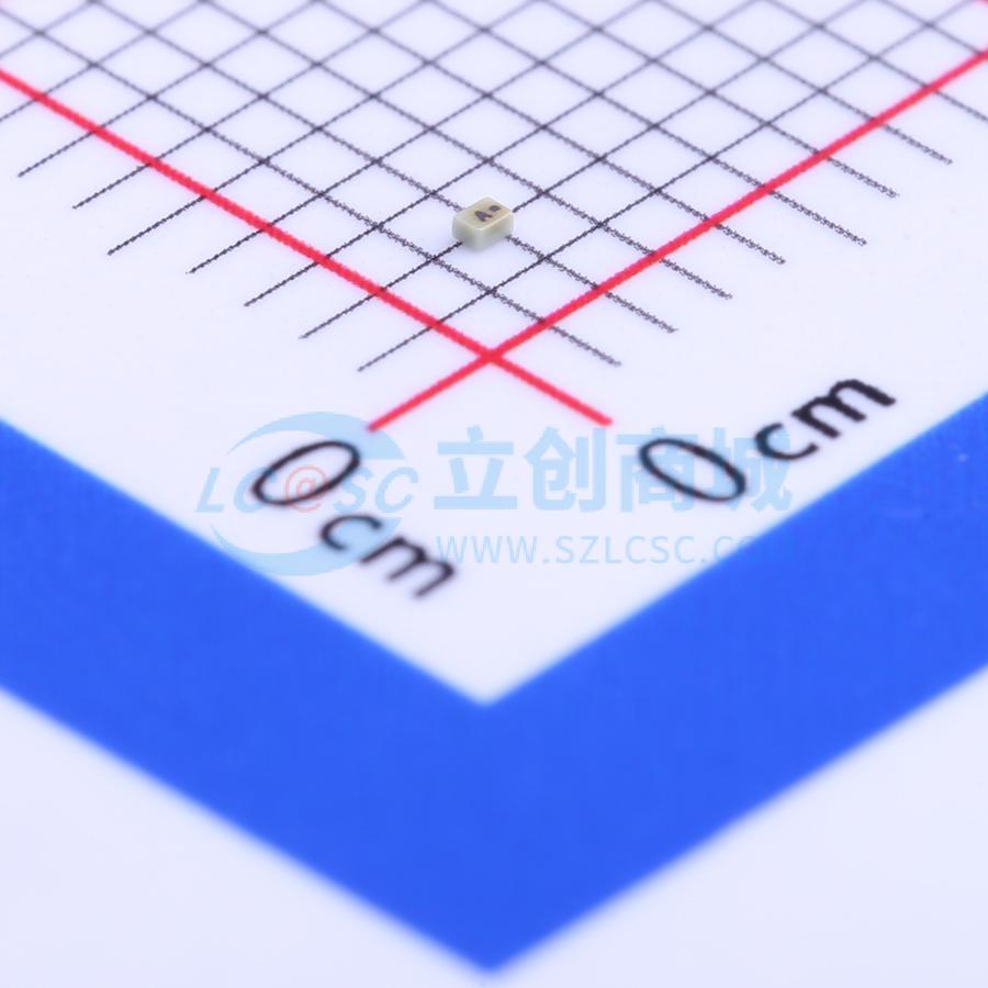 RFLPF06050G9D0T实物图