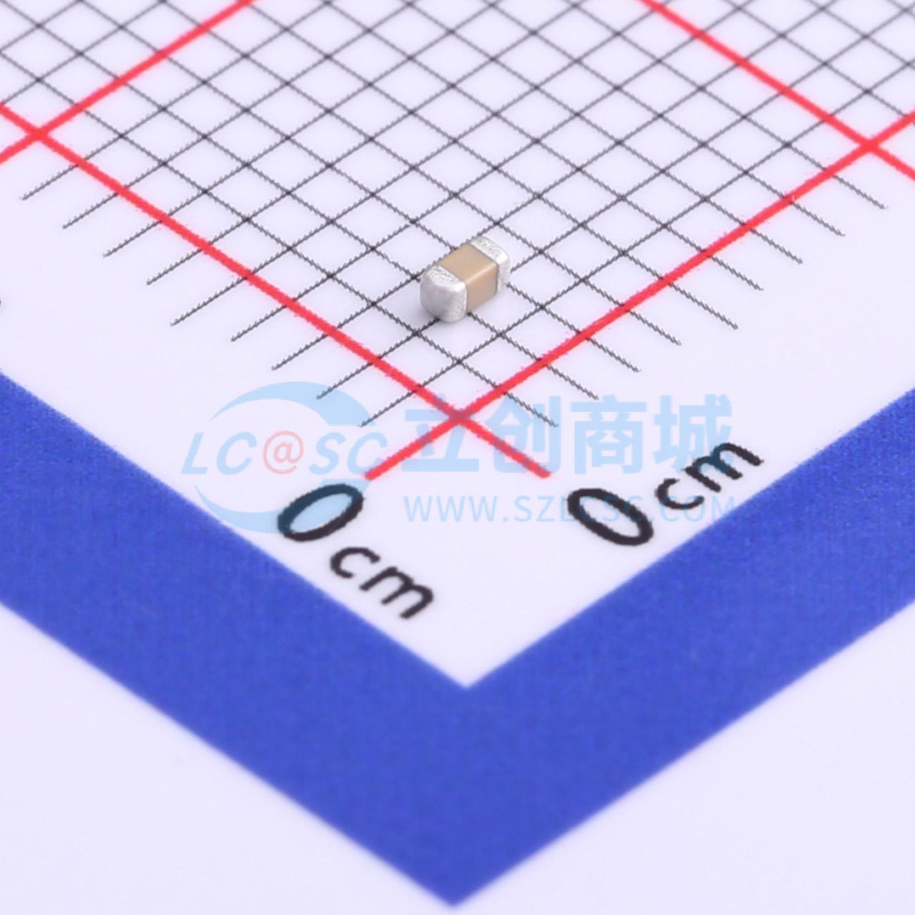 06035C102K4T2A实物图