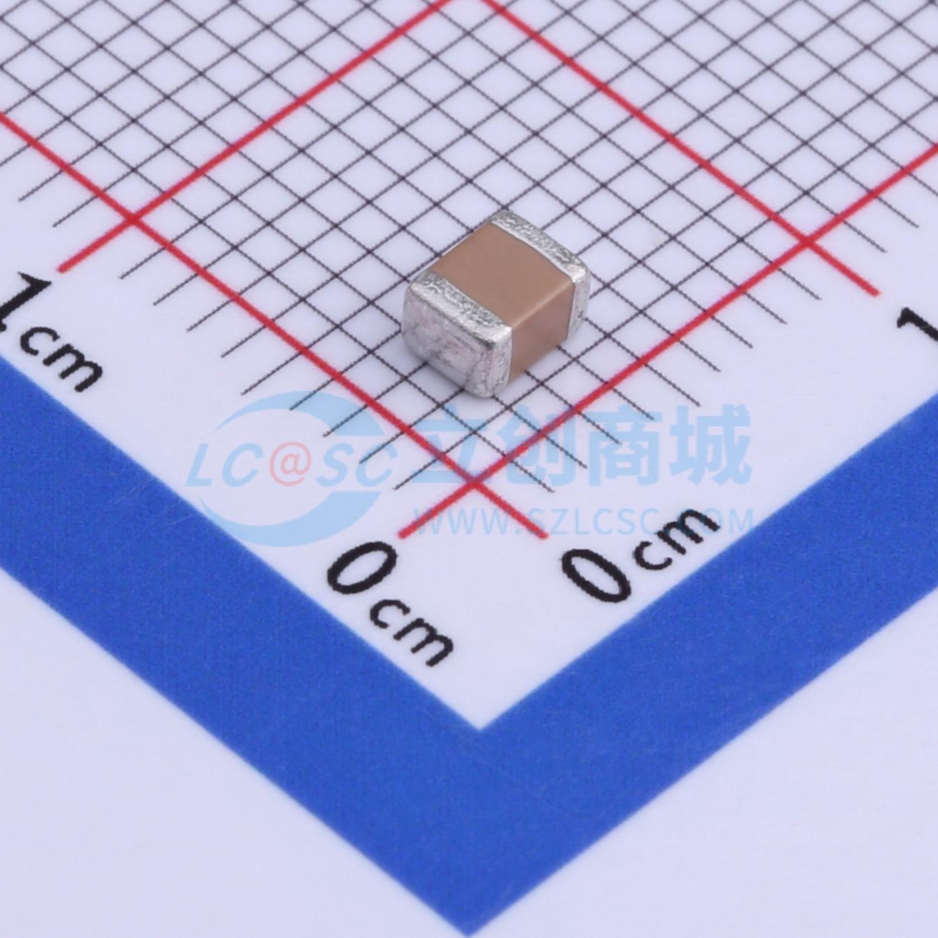 NV1210B222K202CEKN实物图