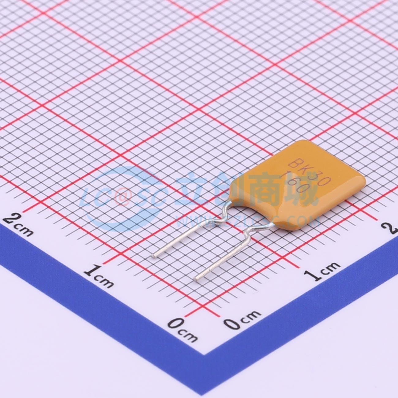 点击查看大图 BK30-160-SI-E0.5实物图