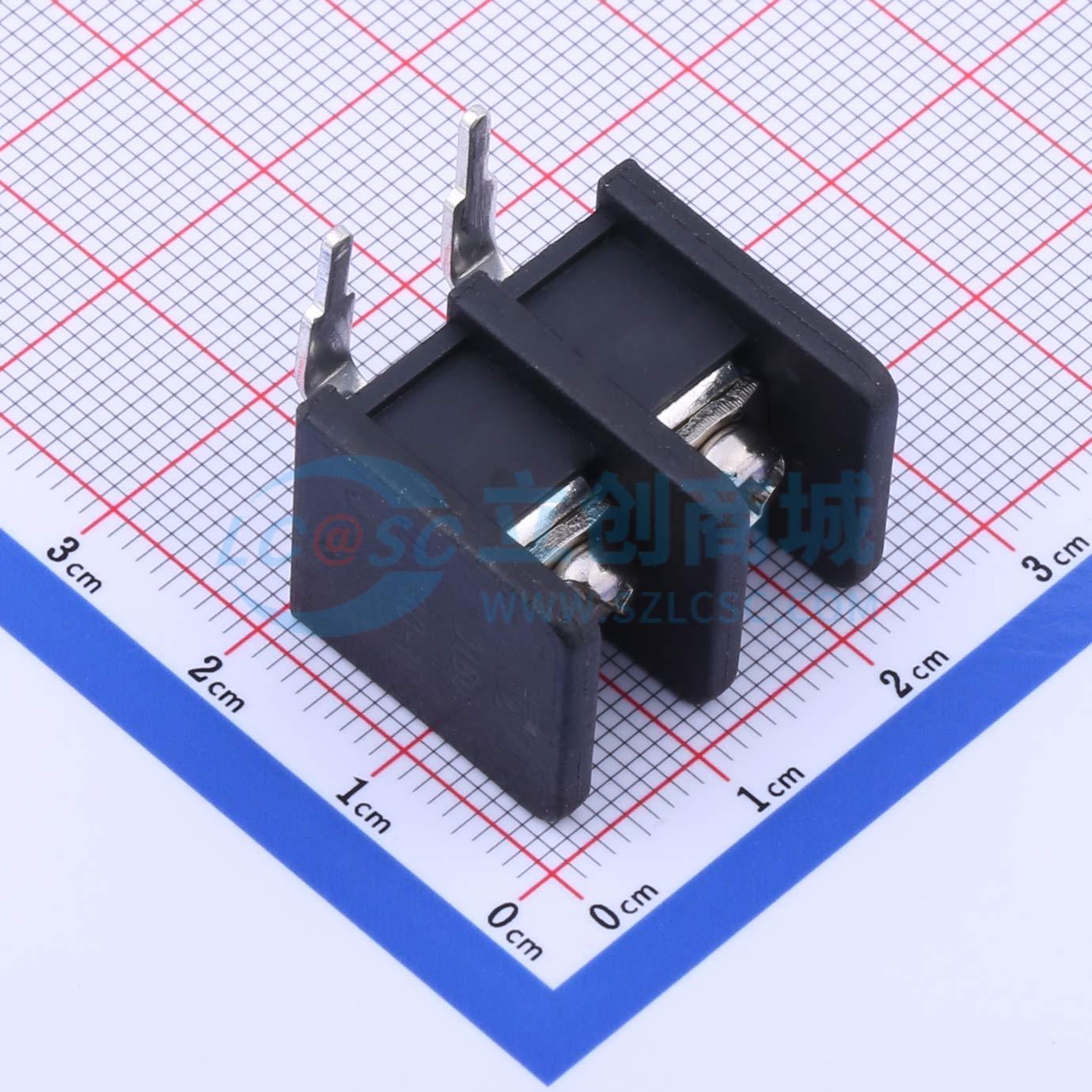 点击查看大图 DBT30R-10.0-2P-BK-P实物图