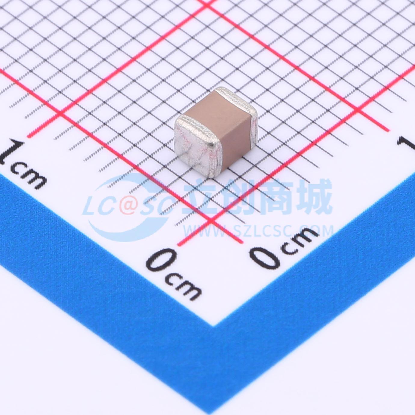 点击查看大图 FP32X225K101EGG实物图