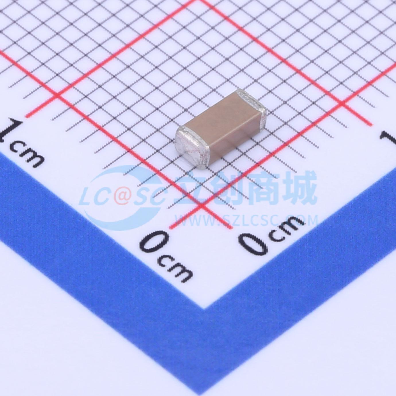 点击查看大图 1808B102K302NT实物图