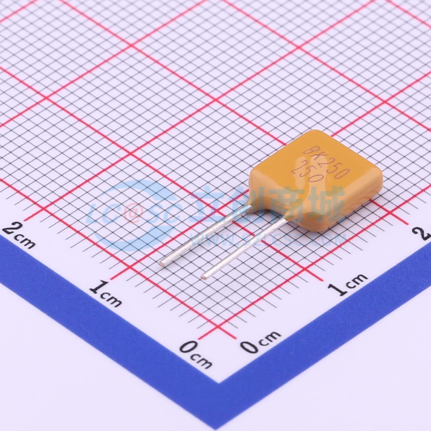 点击查看大图 BK250-250-SZ实物图