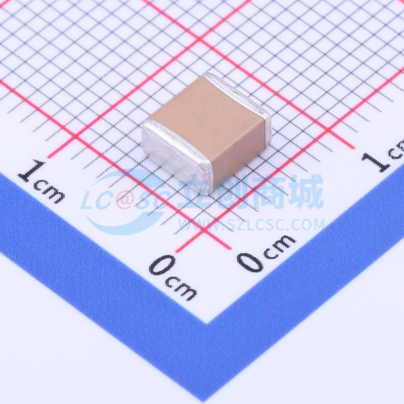 FP55X105K631EHG实物图