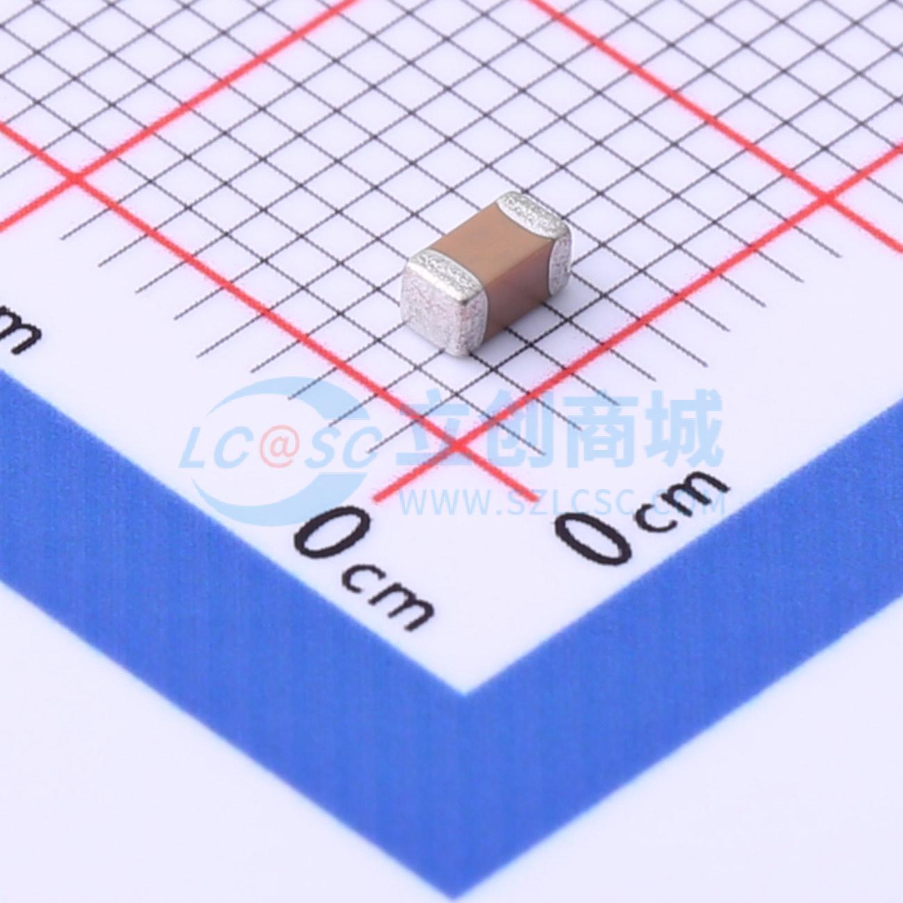 FM31X333K251EEG实物图