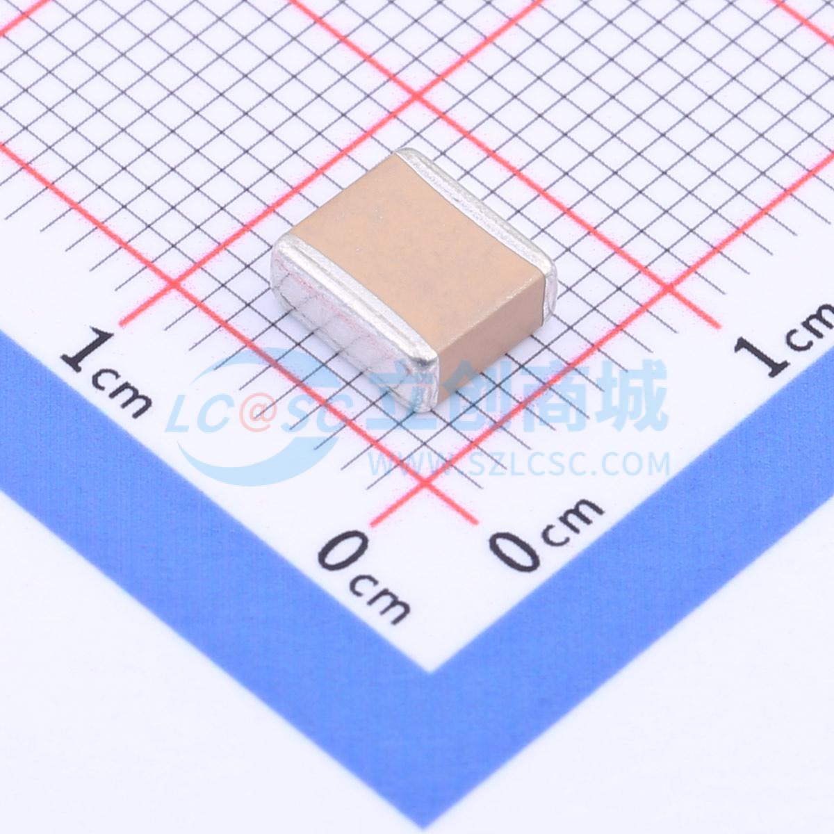 FS56X225K251EGG实物图