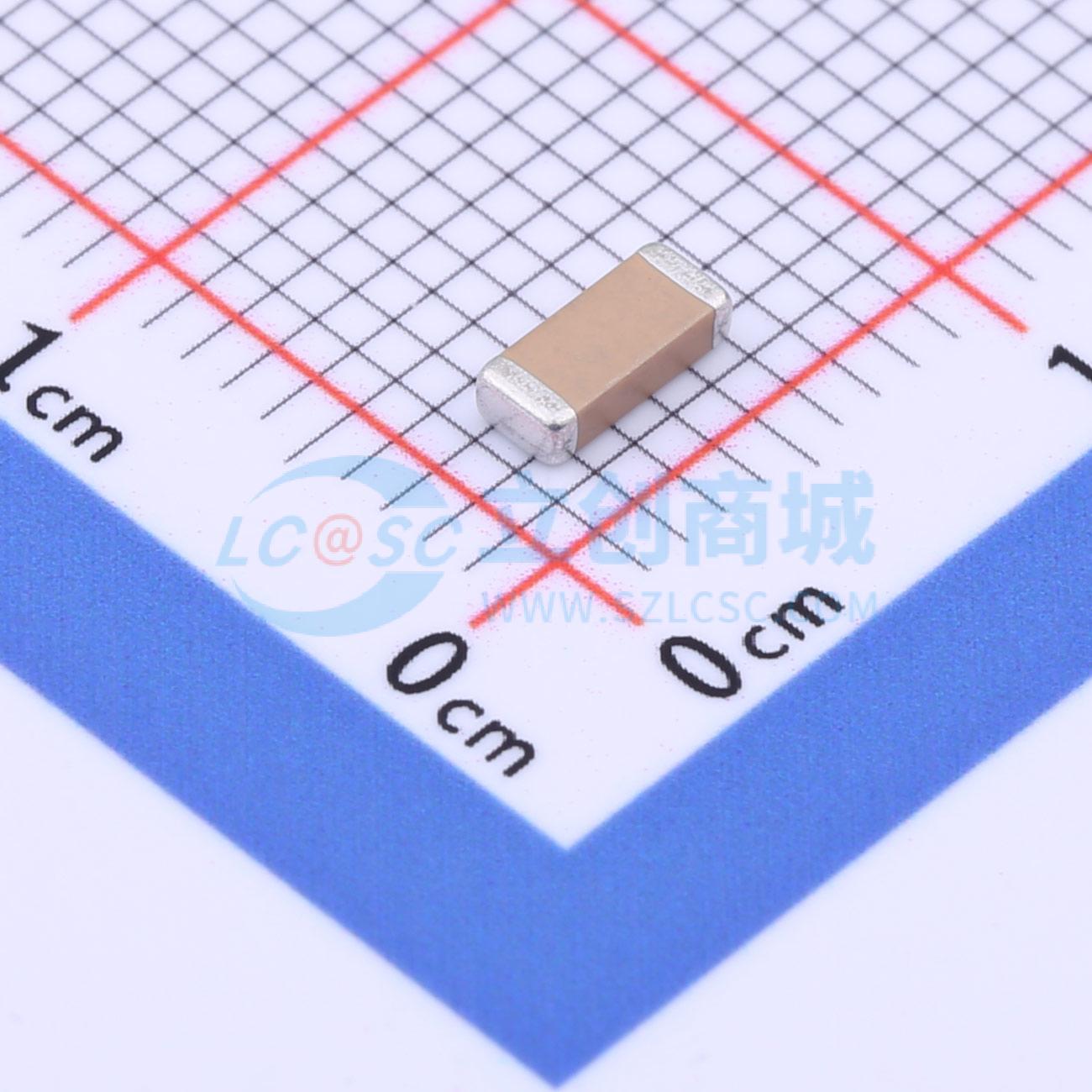 点击查看大图 FV42X221K302ECG实物图