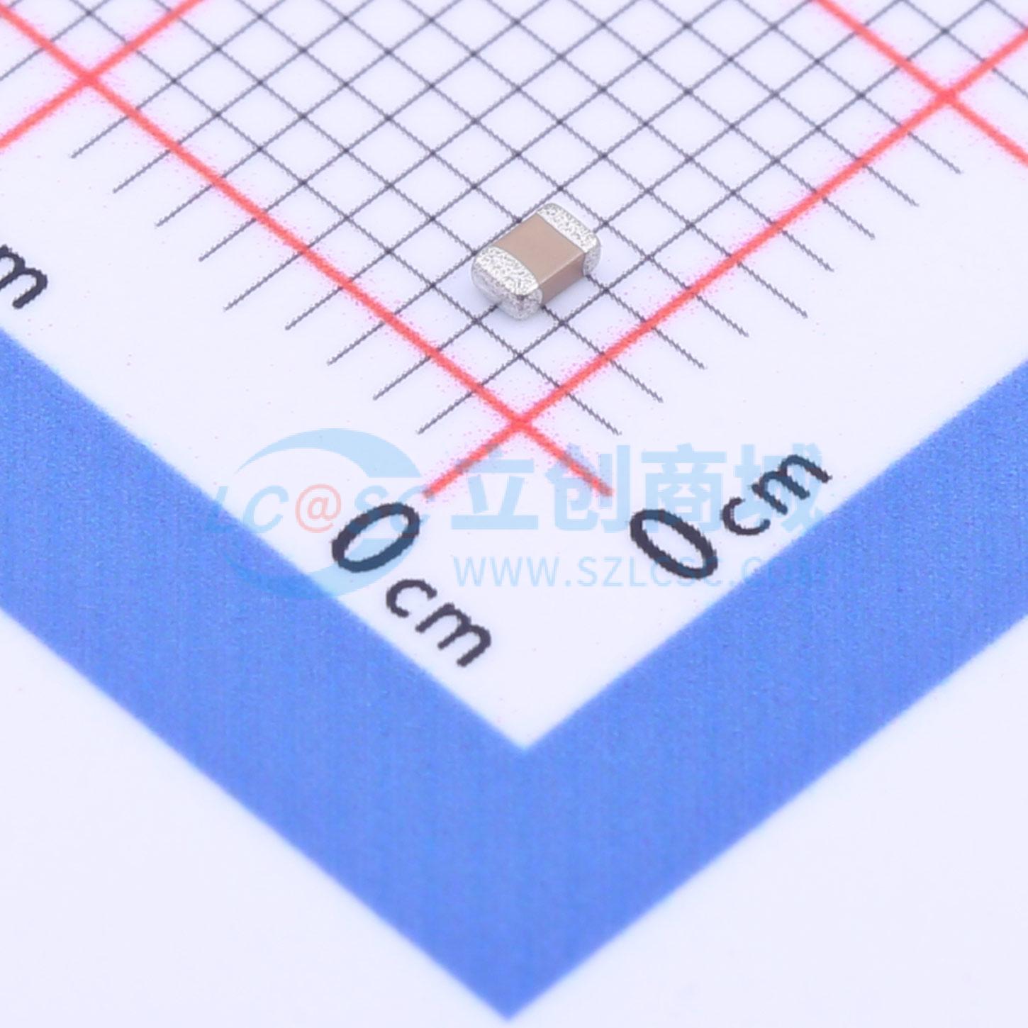 点击查看大图 FM21X101K251PXG实物图