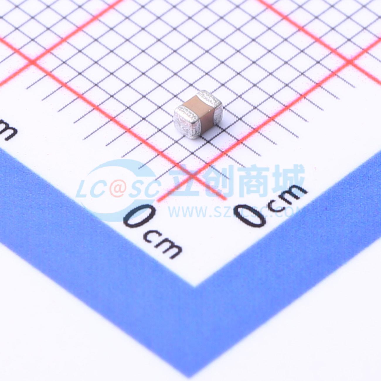 FM21X333K101ECG实物图