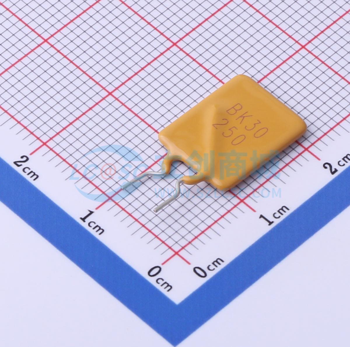 BK30-250-SI-P5.1C3Z1实物图